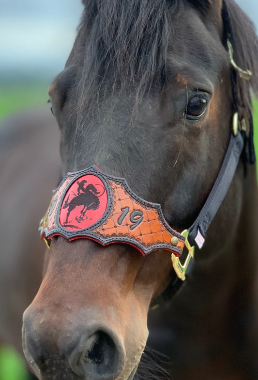 Custom Leather Bronc Halter - Pistol Annie's Boutique