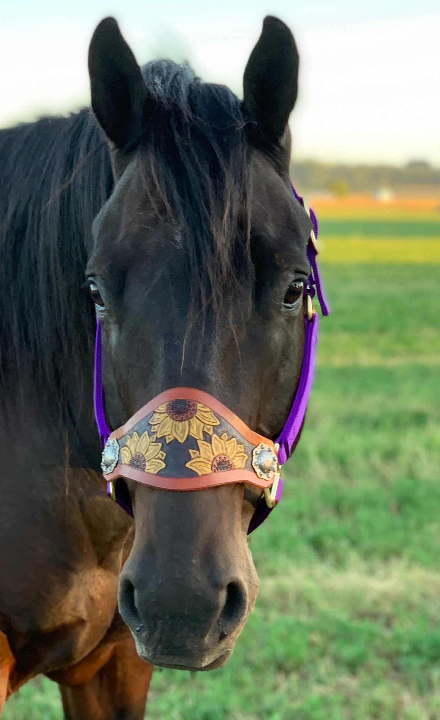 Custom Leather Bronc Halter - Pistol Annie's Boutique