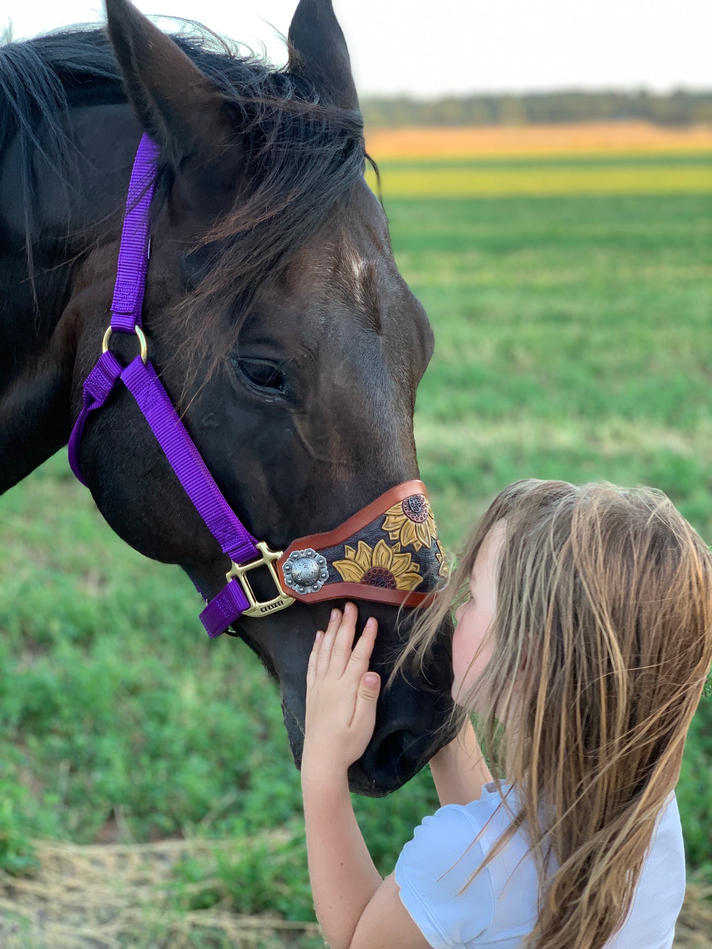 Custom Leather Bronc Halter - Pistol Annie's Boutique